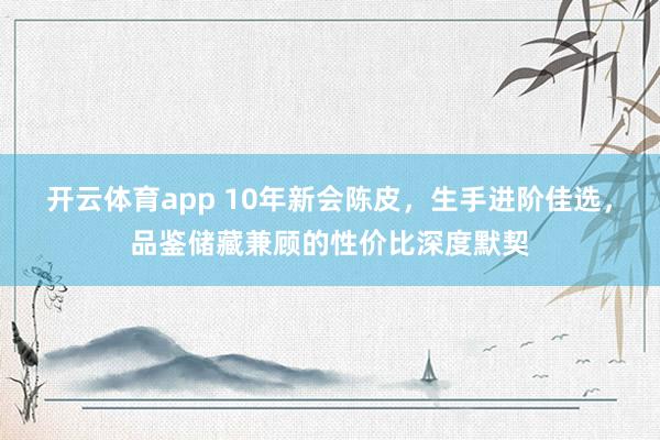 开云体育app 10年新会陈皮，生手进阶佳选，品鉴储藏兼顾的性价比深度默契