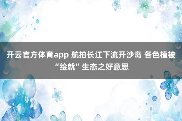 开云官方体育app 航拍长江下流开沙岛 各色植被“绘就”生态之好意思