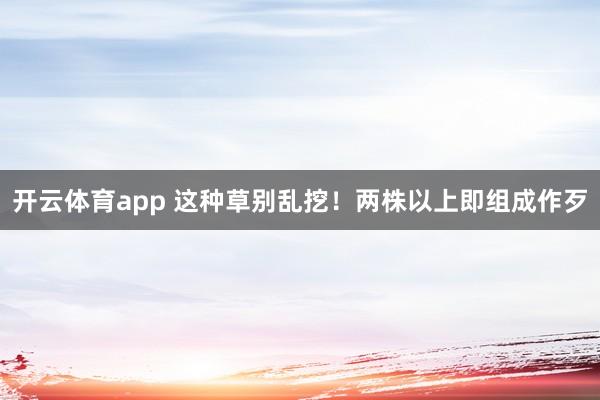 开云体育app 这种草别乱挖！两株以上即组成作歹
